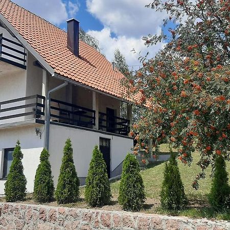 Kuca Sa Pogledom Na Tornik Villa Zlatibor Kültér fotó